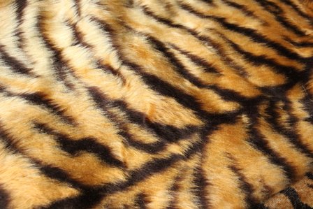 Fabric - Tigerprint