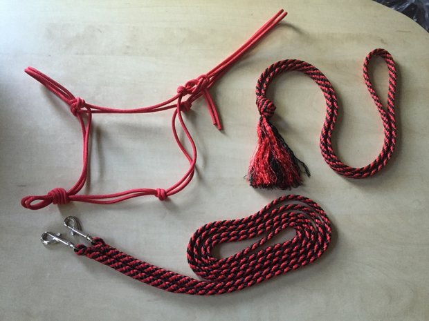 Set! Basic ropehalter+reins+neckrope