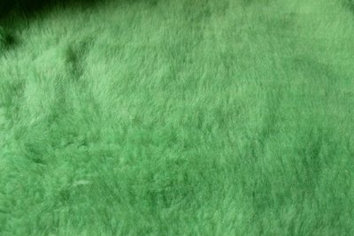 Fabric - Light green